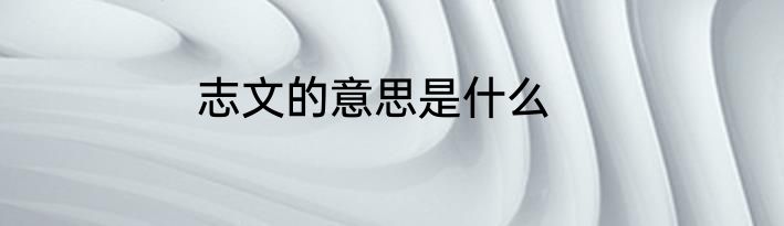 志文的意思是什么