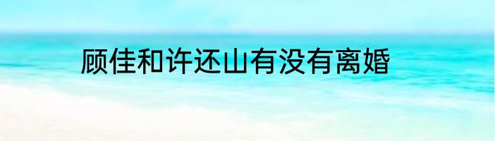 顾佳和许还山有没有离婚