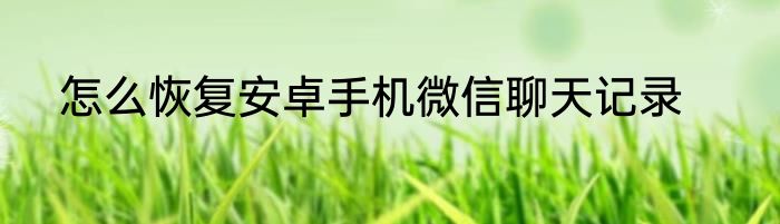 怎么恢复安卓手机微信聊天记录