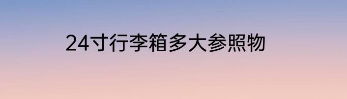 24寸行李箱多大参照物