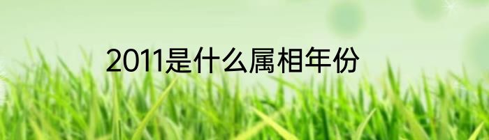 2011是什么属相年份