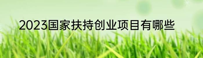 2023国家扶持创业项目有哪些