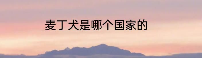 麦丁犬是哪个国家的