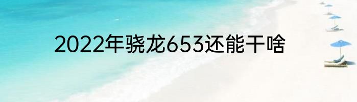 2022年骁龙653还能干啥