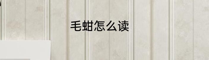 毛蚶怎么读