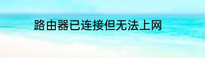 路由器已连接但无法上网