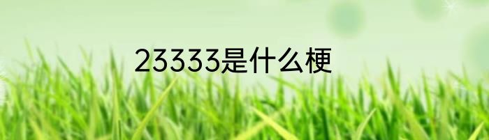 23333是什么梗