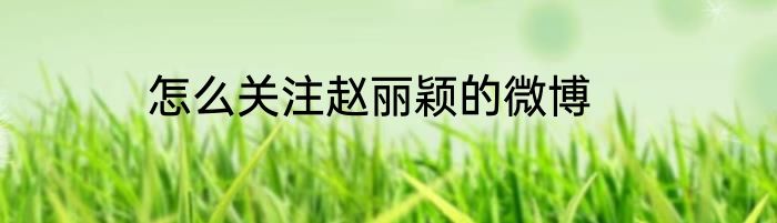 怎么关注赵丽颖的微博