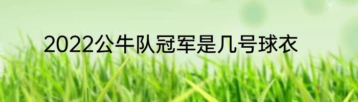 2022公牛队冠军是几号球衣