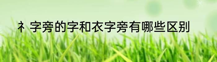 礻字旁的字和衣字旁有哪些区别