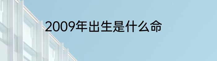 2009年出生是什么命