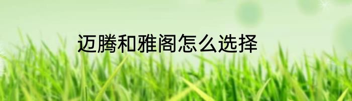 迈腾和雅阁怎么选择