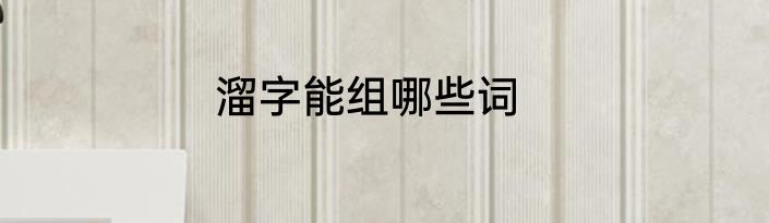 溜字能组哪些词