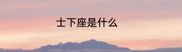 士下座是什么