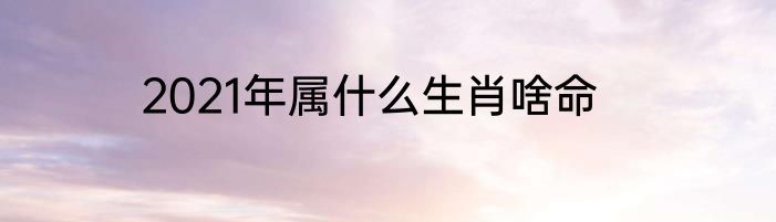2021年属什么生肖啥命