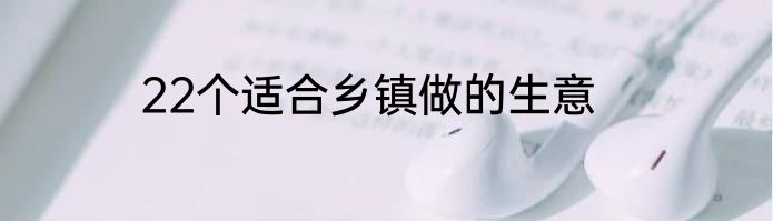 22个适合乡镇做的生意