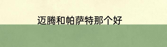 迈腾和帕萨特那个好