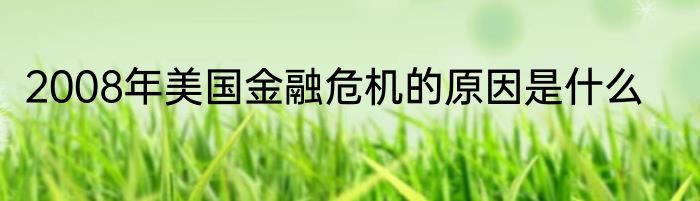 2008年美国金融危机的原因是什么