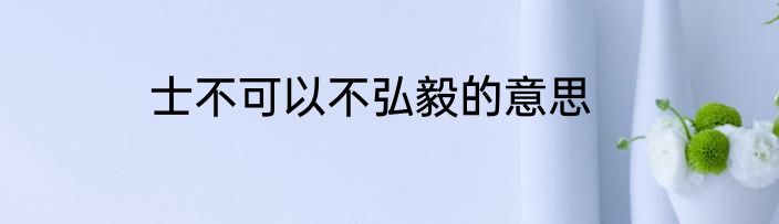 士不可以不弘毅的意思