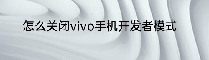 怎么关闭vivo手机开发者模式