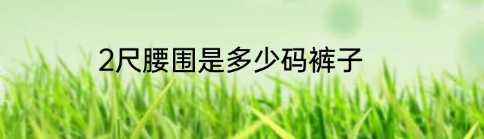 2尺腰围是多少码裤子