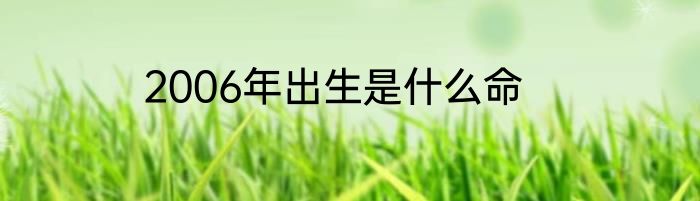 2006年出生是什么命