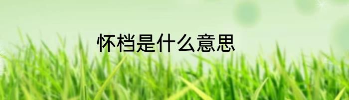 怀档是什么意思