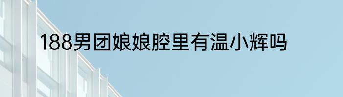 188男团娘娘腔里有温小辉吗