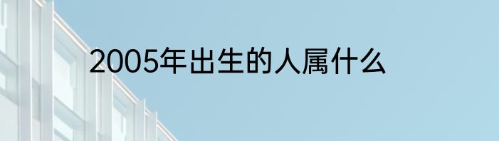 2005年出生的人属什么