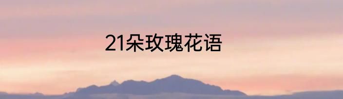 21朵玫瑰花语