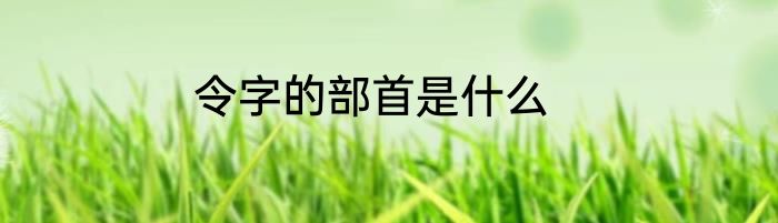 令字的部首是什么