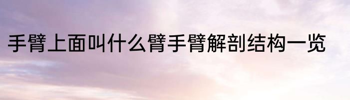 手臂上面叫什么臂手臂解剖结构一览