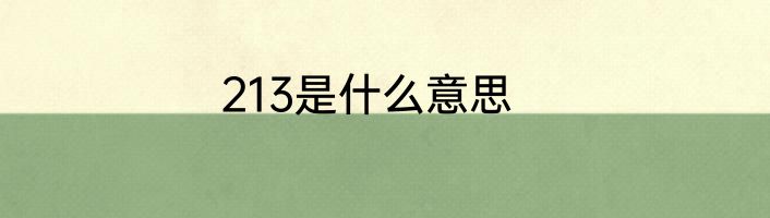 213是什么意思