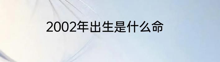 2002年出生是什么命