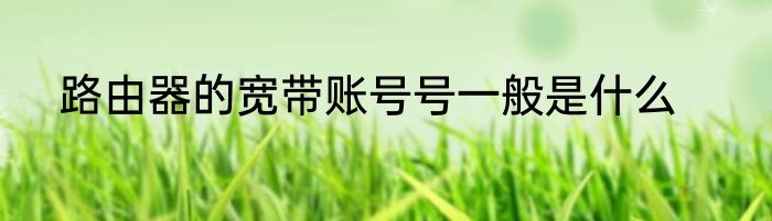 路由器的宽带账号号一般是什么