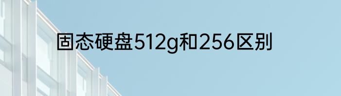 固态硬盘512g和256区别