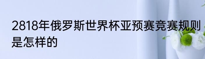 2818年俄罗斯世界杯亚预赛竞赛规则是怎样的