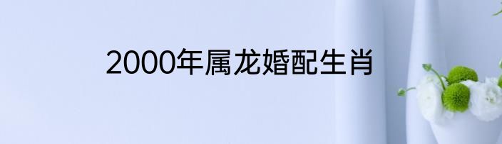 2000年属龙婚配生肖