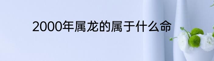 2000年属龙的属于什么命