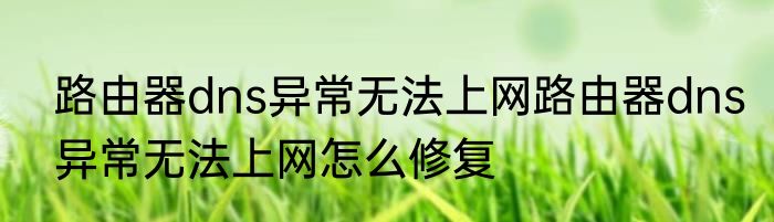 路由器dns异常无法上网路由器dns异常无法上网怎么修复