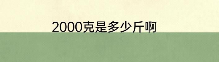 2000克是多少斤啊