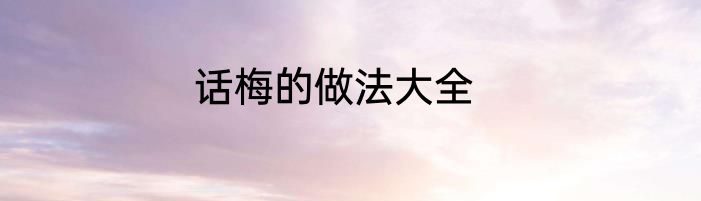 话梅的做法大全