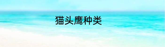 猫头鹰种类