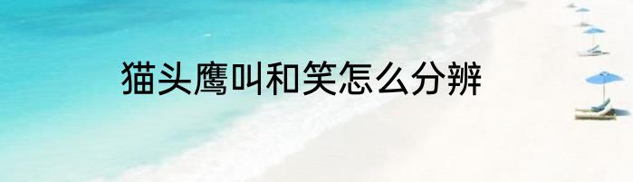 猫头鹰叫和笑怎么分辨