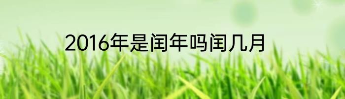 2016年是闰年吗闰几月