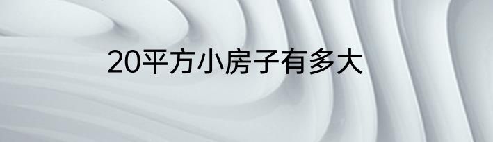 20平方小房子有多大