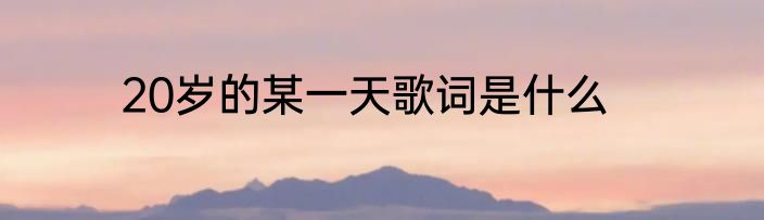 20岁的某一天歌词是什么