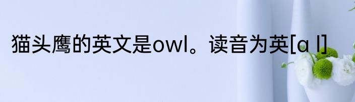 猫头鹰的英文是owl。读音为英[a l]