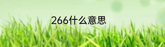 266什么意思