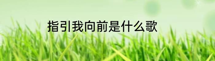指引我向前是什么歌